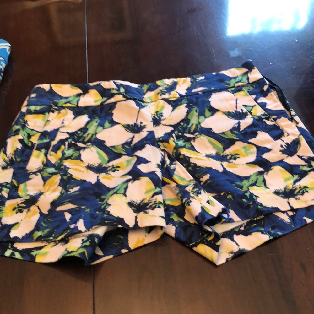 Shorts - Picture 3 of 4